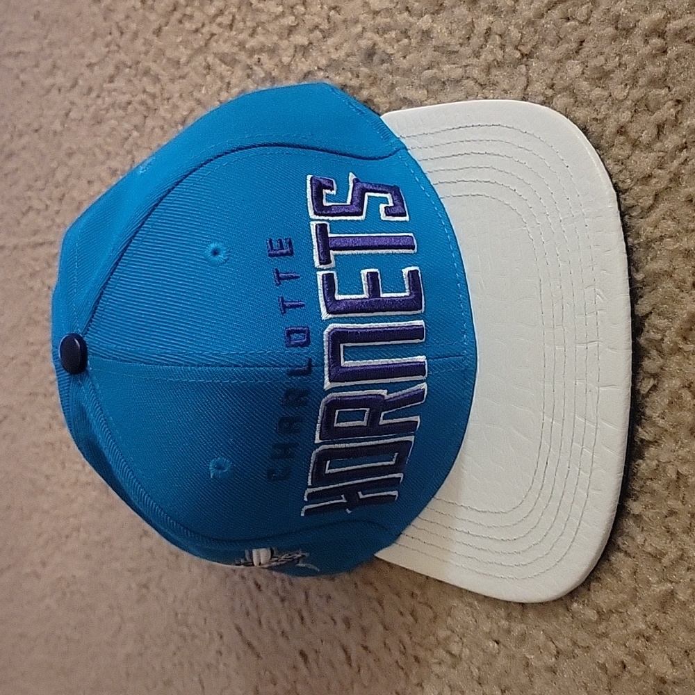 Pro standard charlotte hornets adjustable hat